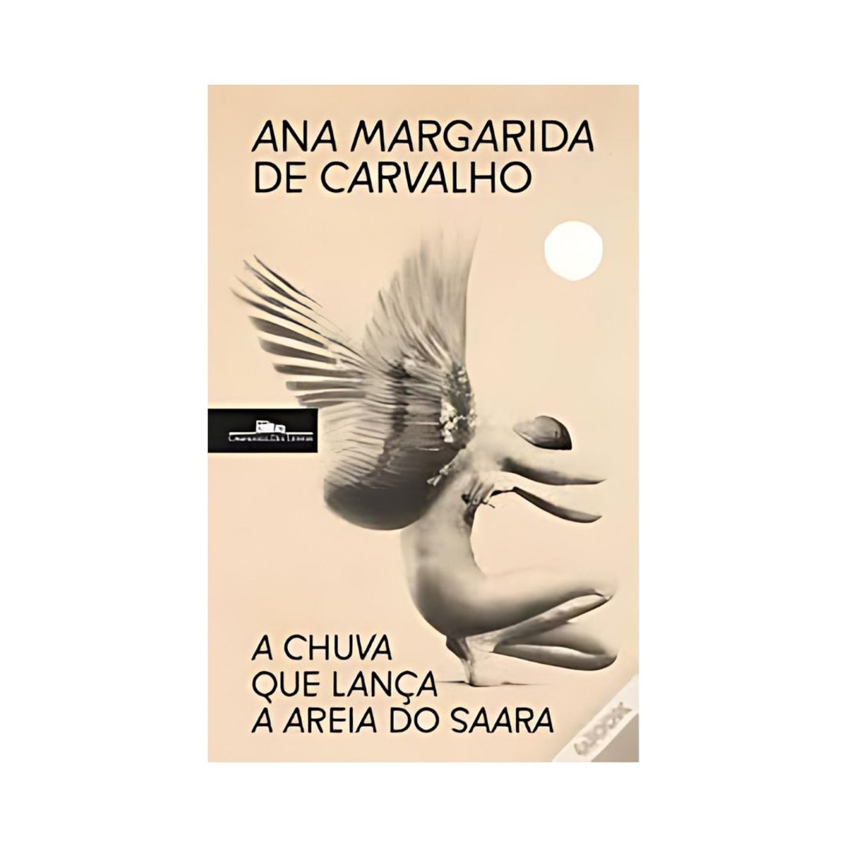 public-774 A Chuva que Lança a Areia do Saara - Image 1